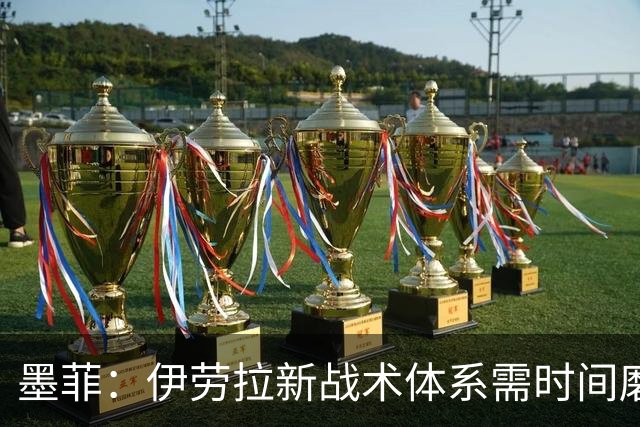 墨菲：伊劳拉新战术体系需时间磨合，中场隐患待解决